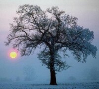 solstizio-dinverno