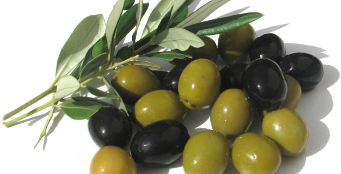 mosche delle olive